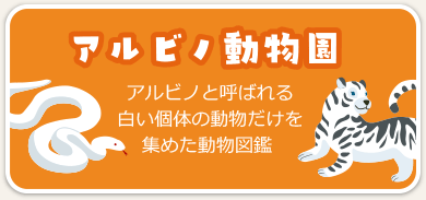 アルビノ動物園