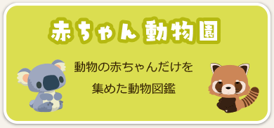 赤ちゃん動物園