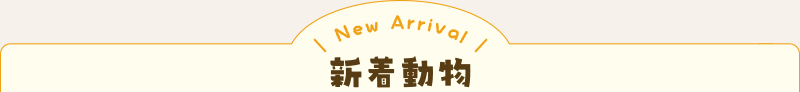 新しい動物｜としとしWeb動物園・動物図鑑