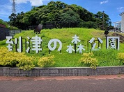 到津の森公園