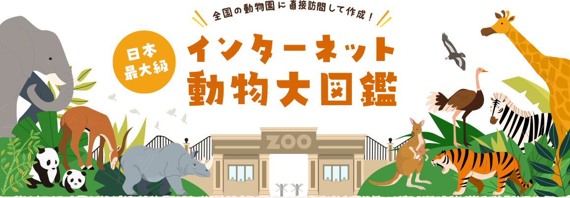 日本最大級のインターネット動物図鑑｜としとしWeb動物園