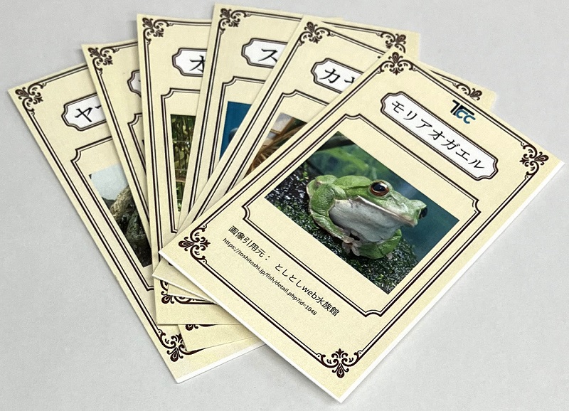 SDGs AICHI EXPO 2025