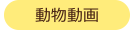 動物動画