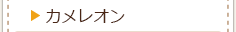 カメレオンの種類一覧