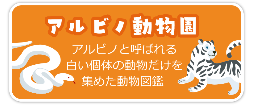 アルビノ動物園