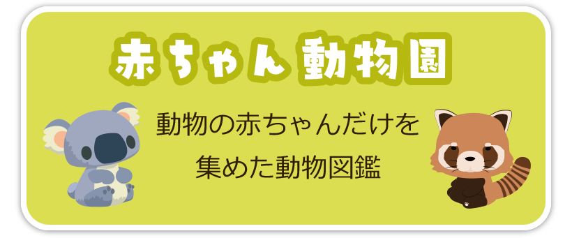 赤ちゃん動物園