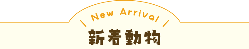 新しい動物｜としとしWeb動物園・動物図鑑
