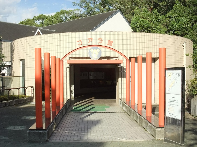 コアラ館｜天王寺動物園