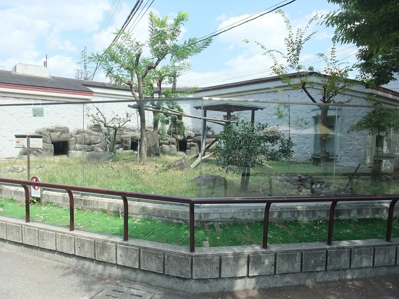 レッサーパンダ舎｜天王寺動物園