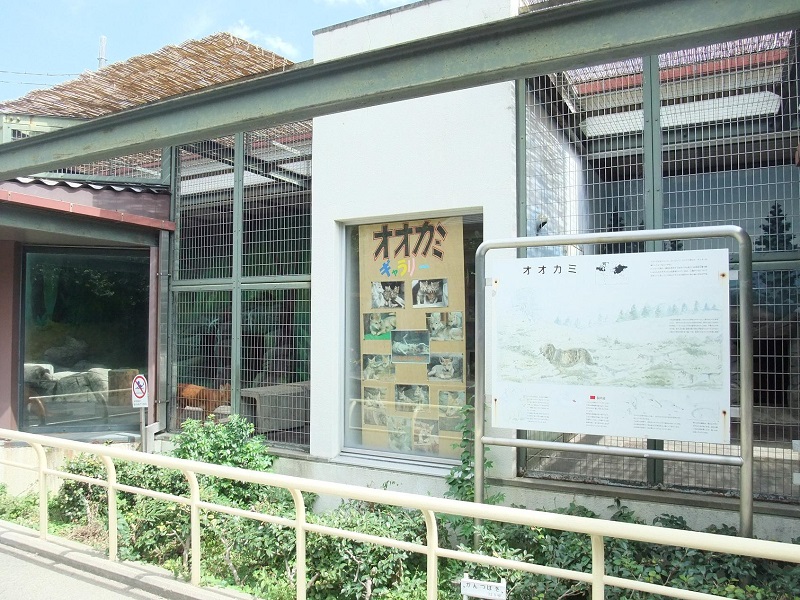 オオカミ舎｜天王寺動物園