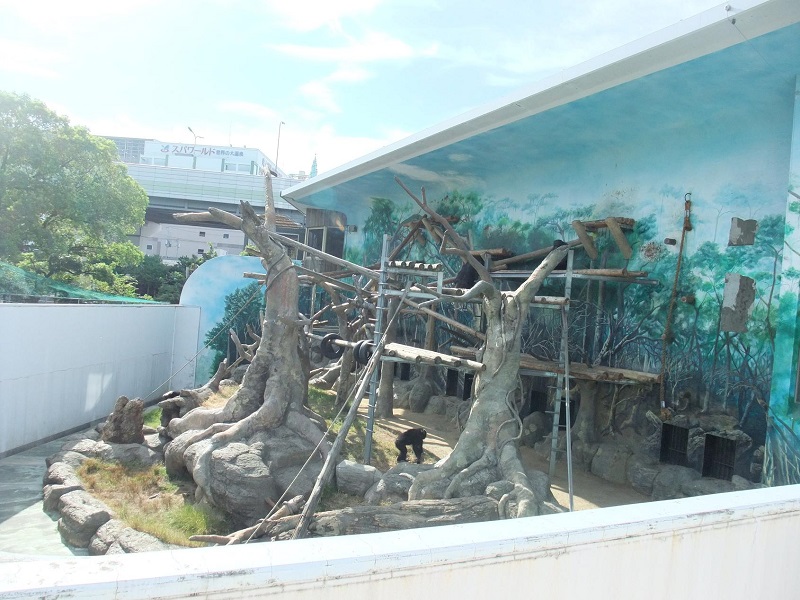 チンパンジー・オランウータン舎｜天王寺動物園