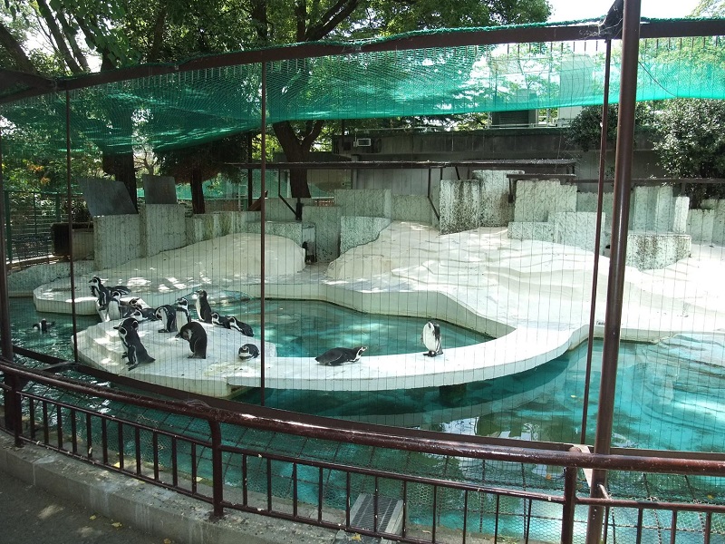 ペンギン舎｜天王寺動物園
