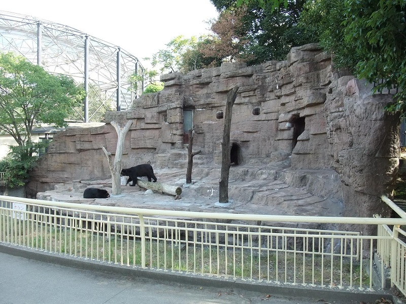 クマ舎｜天王寺動物園