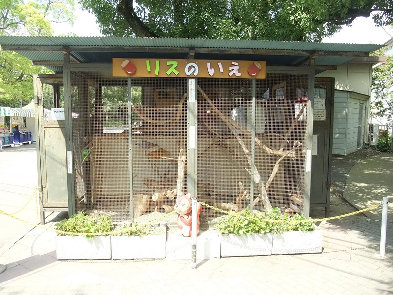 リスのいえ｜天王寺動物園