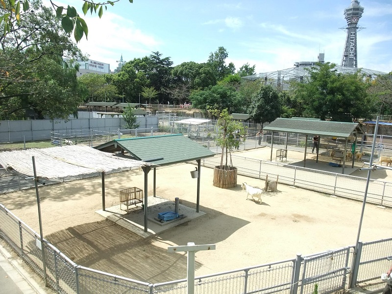 ふれあい広場｜天王寺動物園