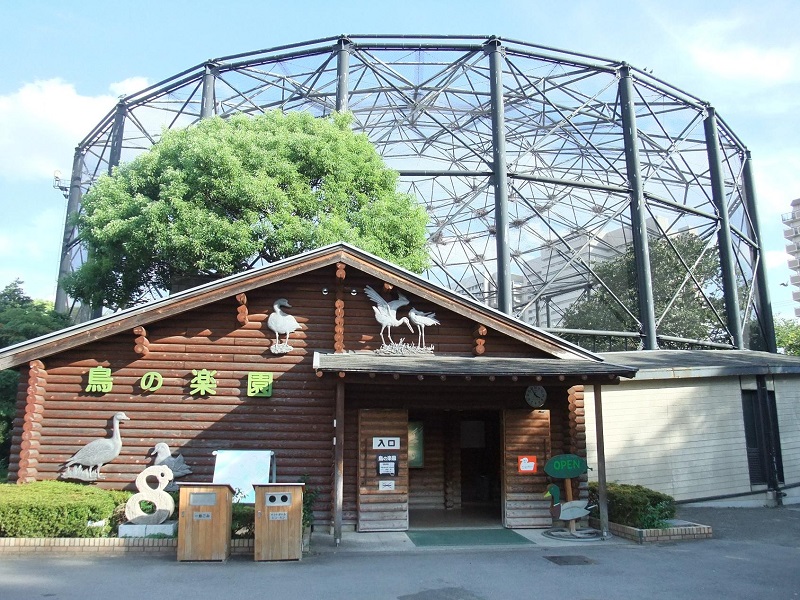 鳥の楽園｜天王寺動物園