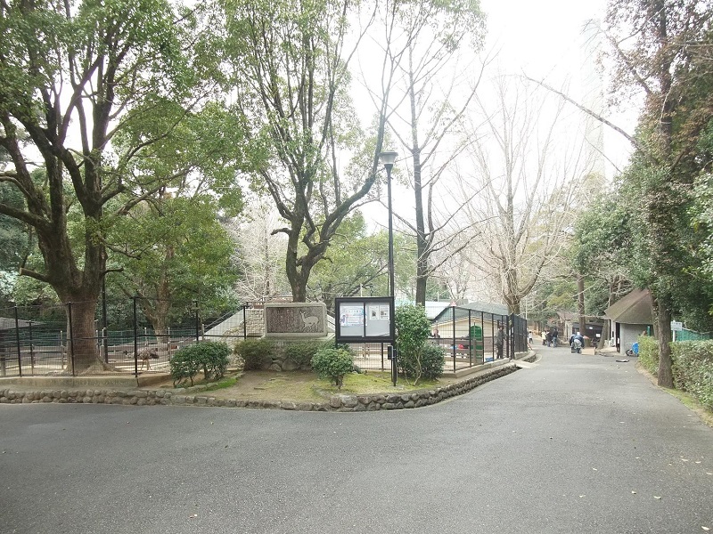 園内｜五月山動物園