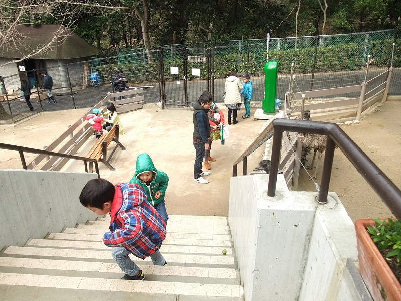 タスマニア広場｜五月山動物園