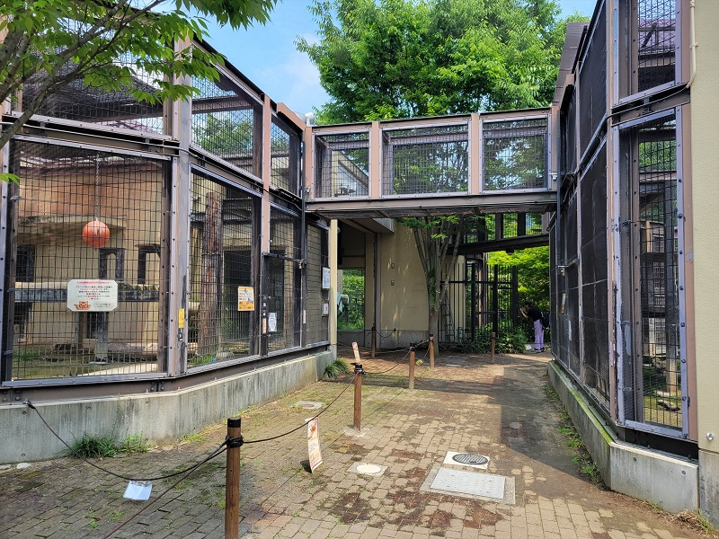 もうじゅうワールド｜京都市動物園