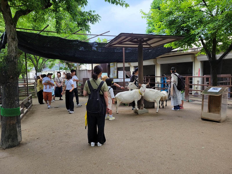 おとぎの国｜京都市動物園