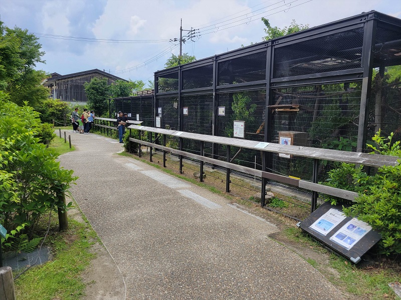 京都の森｜京都市動物園