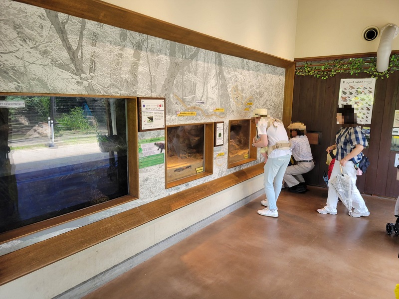 京都の森・展示室｜京都市動物園