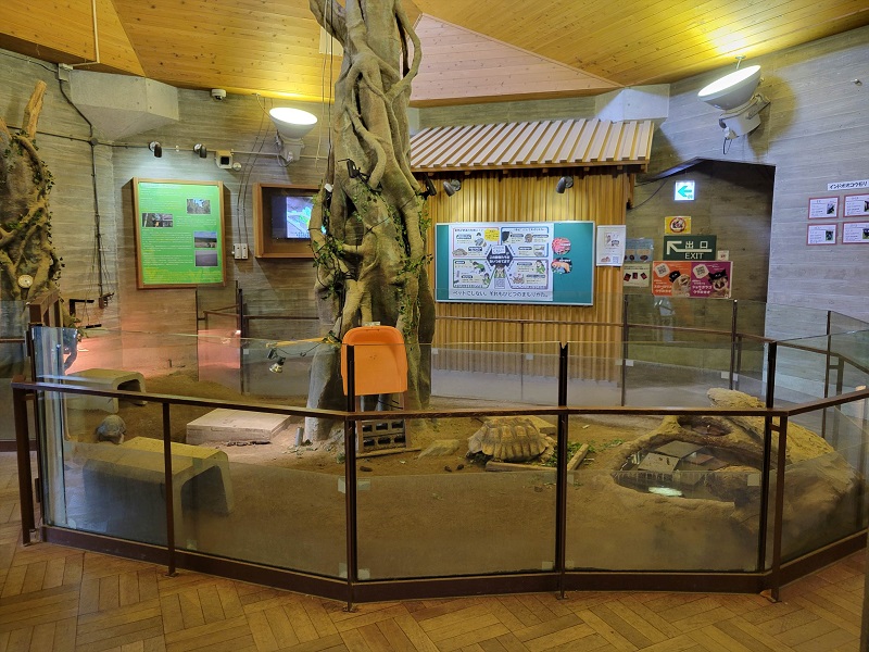 ひかり・みず・みどりの熱帯動物館｜京都市動物園