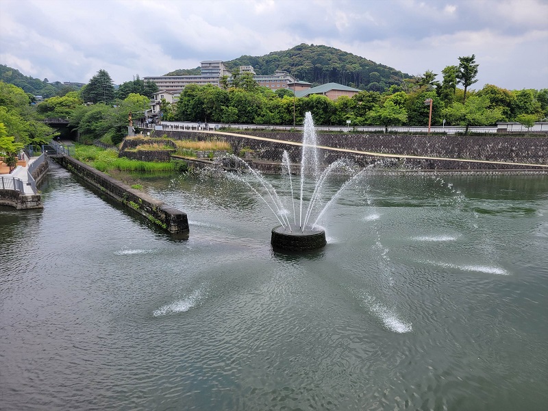 琵琶湖疏水｜京都市動物園