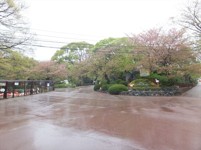 園内｜神戸市立王子動物園