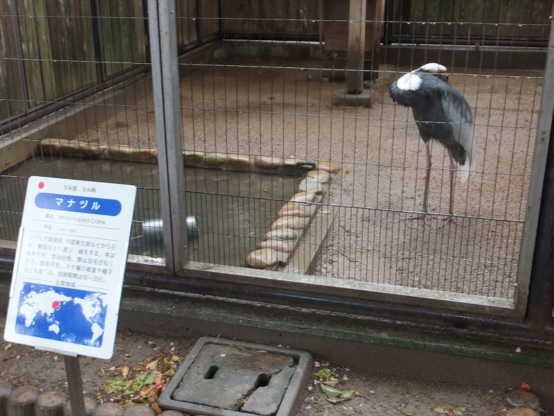 鳥エリア｜神戸市立王子動物園