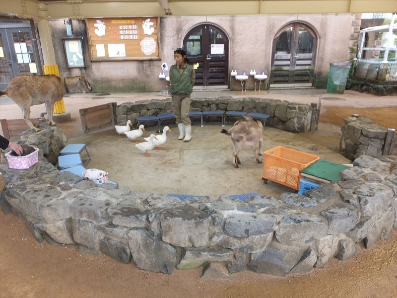動物と子供の国エリア｜神戸市立王子動物園