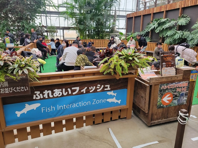 ふれあいフィッシュ｜神戸どうぶつ王国