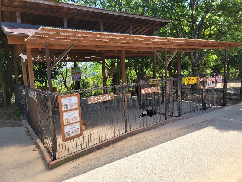 犬のふれあいコーナー｜姫路セントラルパーク