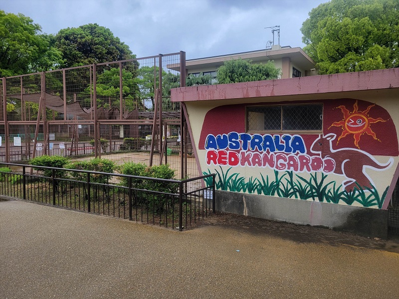 カンガルー舎｜姫路市立動物園