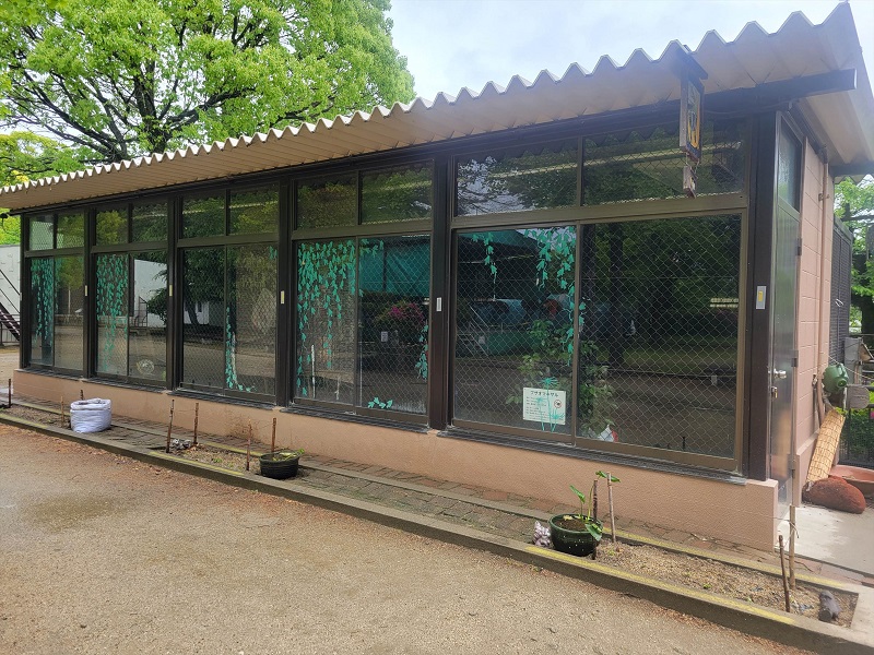 サル舎｜姫路市立動物園