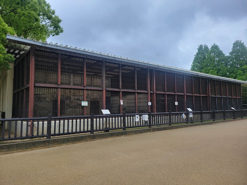 猛獣舎｜姫路市立動物園