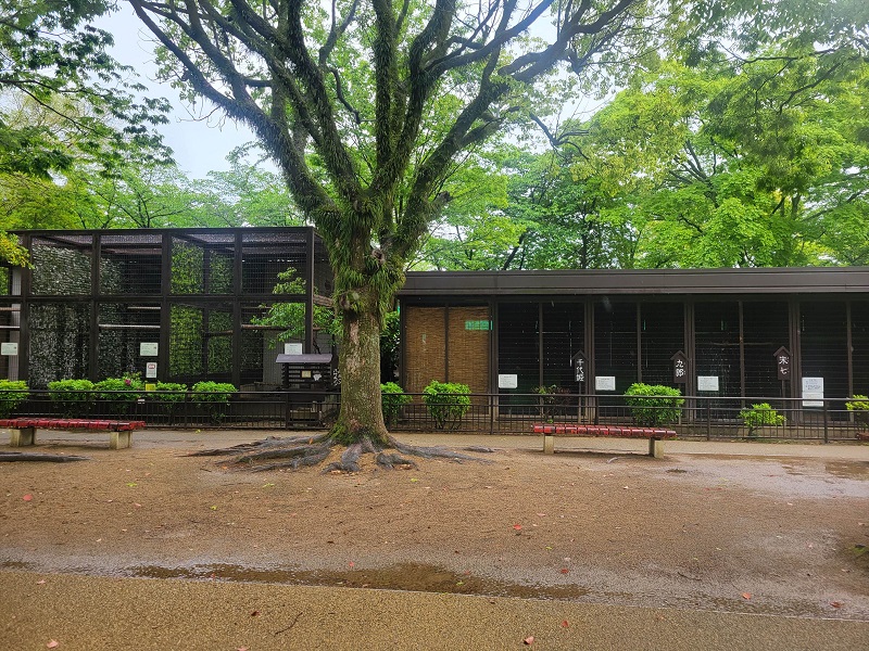 猛禽舎｜姫路市立動物園