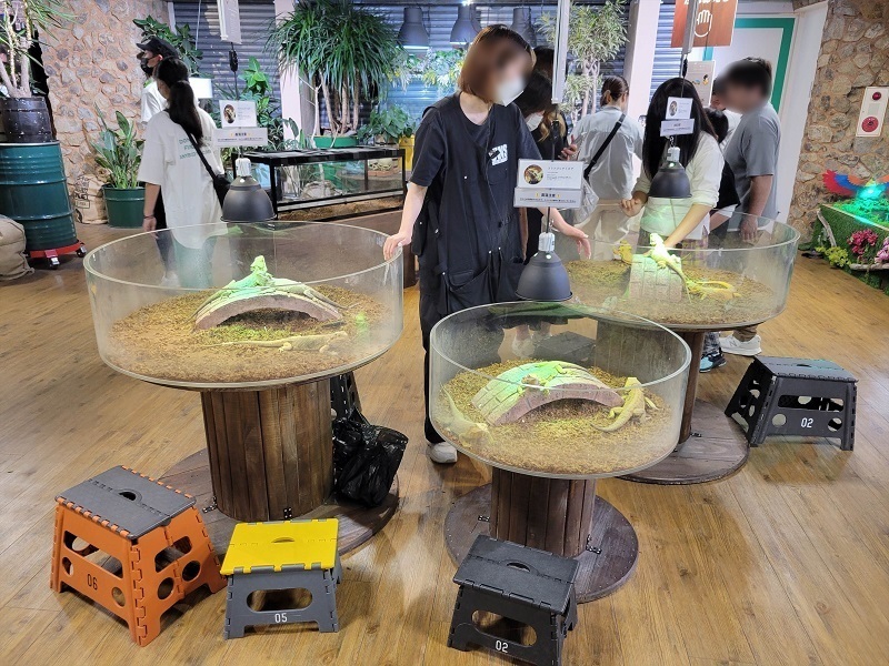 のそのそ｜奈良いきものミュージアム