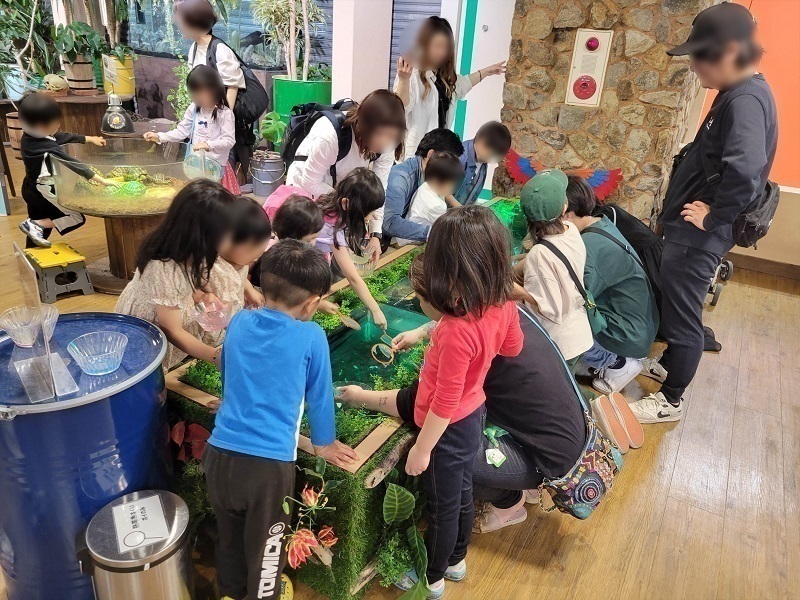 熱帯魚すくい｜奈良いきものミュージアム