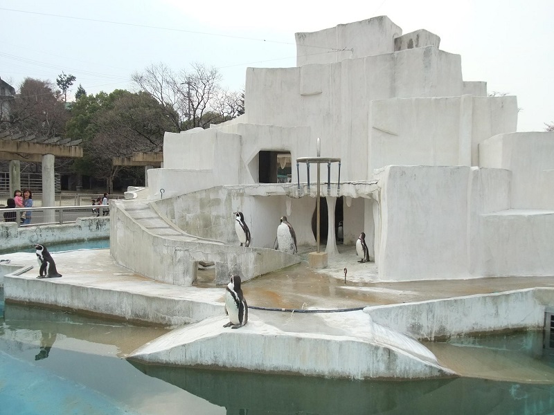 ペンギン｜東山動植物園