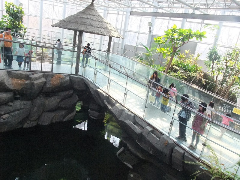 エキゾチックプロムナード｜東山動植物園