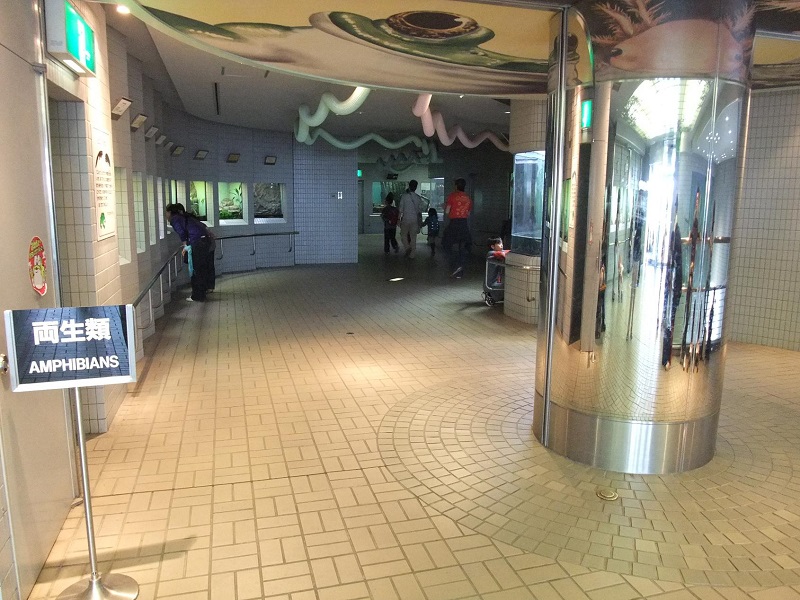 両生類｜東山動植物園