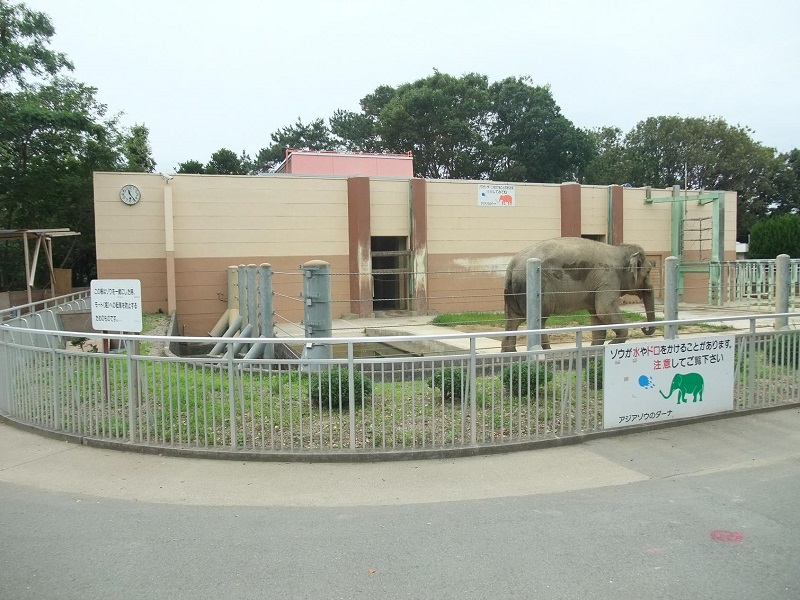 動物園ゾーン｜豊橋総合動植物公園のんほいパーク