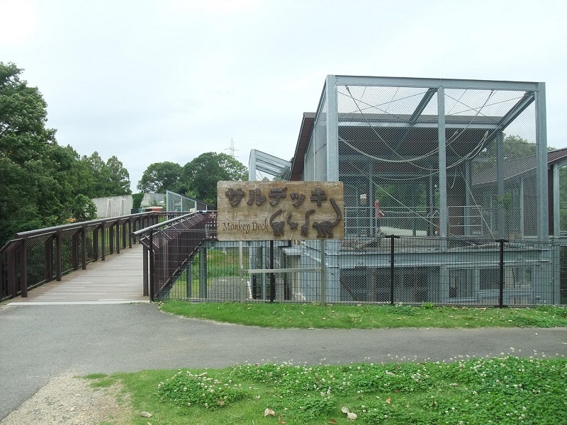 サルデッキ｜豊橋総合動植物公園のんほいパーク