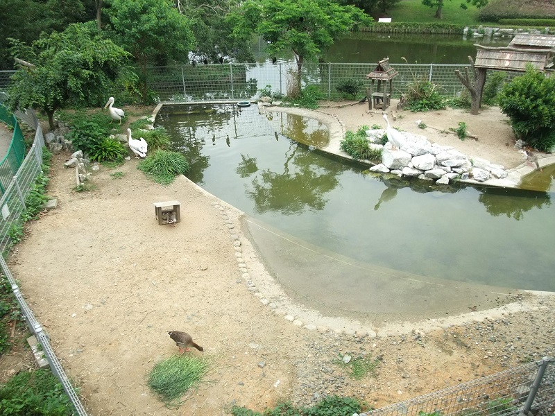 大沢池｜豊橋総合動植物公園のんほいパーク