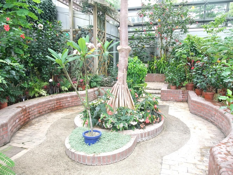 植物園トロピカル館｜豊橋総合動植物公園のんほいパーク