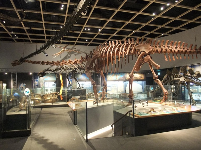 自然史博物館｜豊橋総合動植物公園のんほいパーク