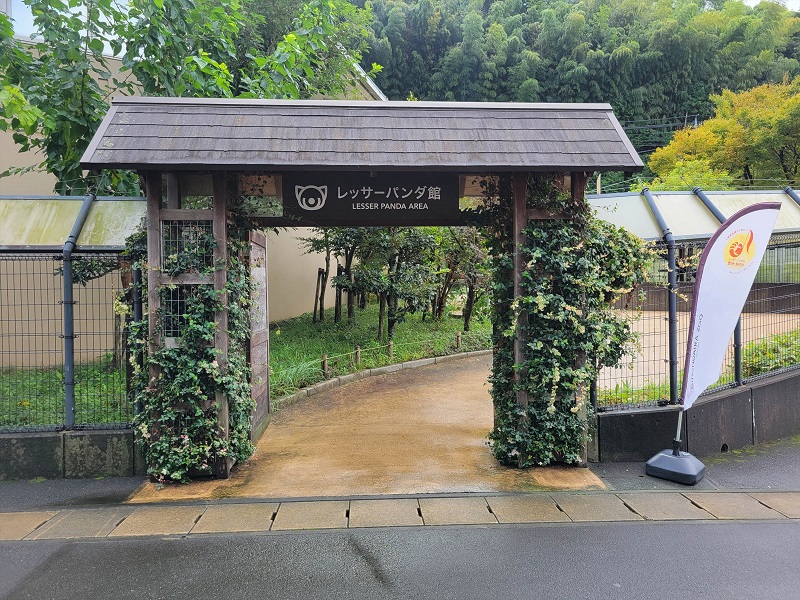 レッサーパンダ館｜静岡市立日本平動物園