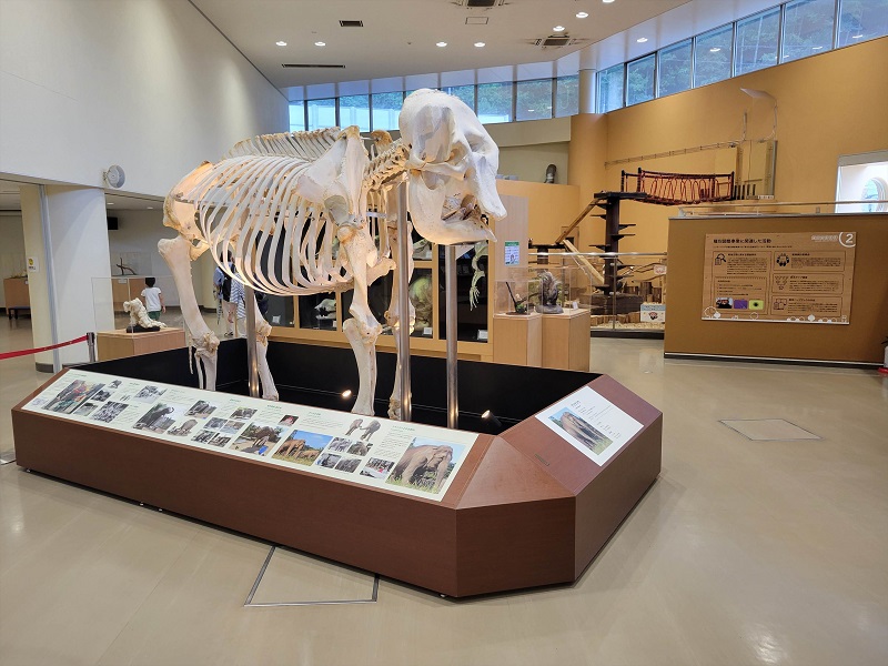 ビジターセンター｜静岡市立日本平動物園