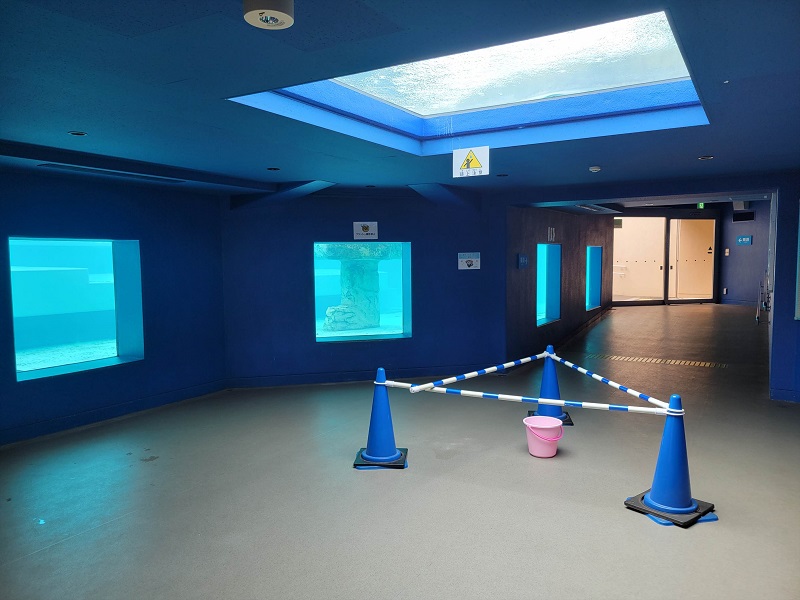 ペンギン館｜静岡市立日本平動物園